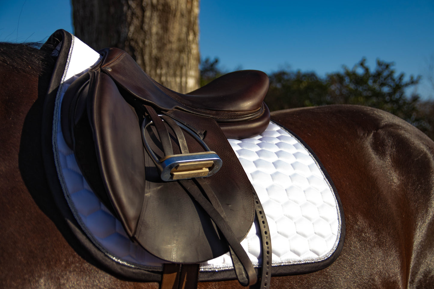 Corcoran EQ Jump Saddle Pad