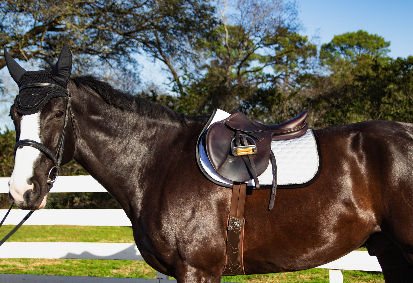 Corcoran EQ Jump Saddle Pad